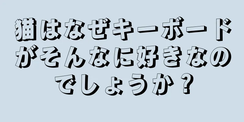 猫はなぜキーボードがそんなに好きなのでしょうか？