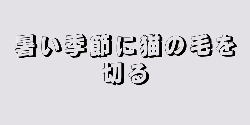暑い季節に猫の毛を切る