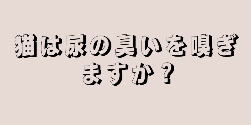 猫は尿の臭いを嗅ぎますか？
