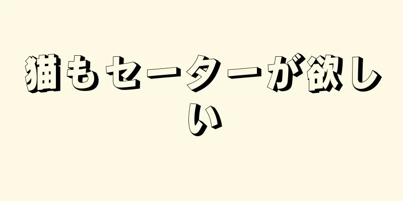 猫もセーターが欲しい
