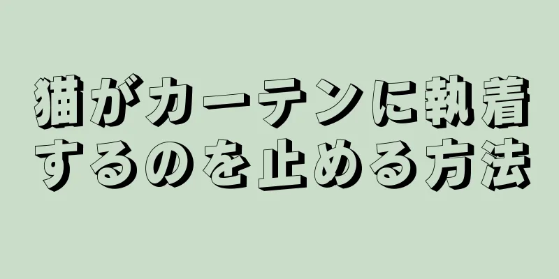 猫がカーテンに執着するのを止める方法