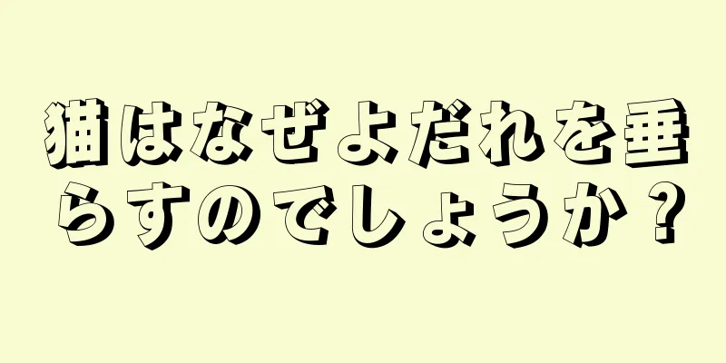猫はなぜよだれを垂らすのでしょうか？