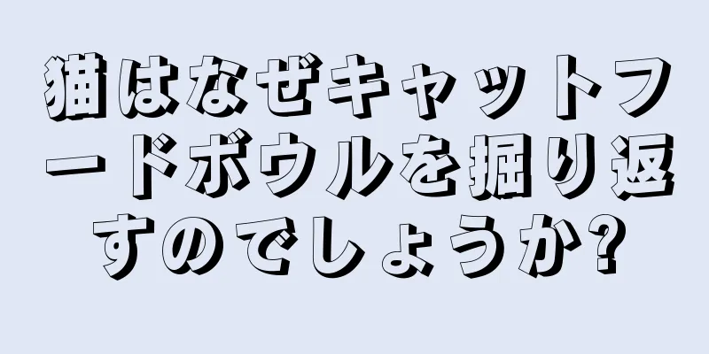 猫はなぜキャットフードボウルを掘り返すのでしょうか?