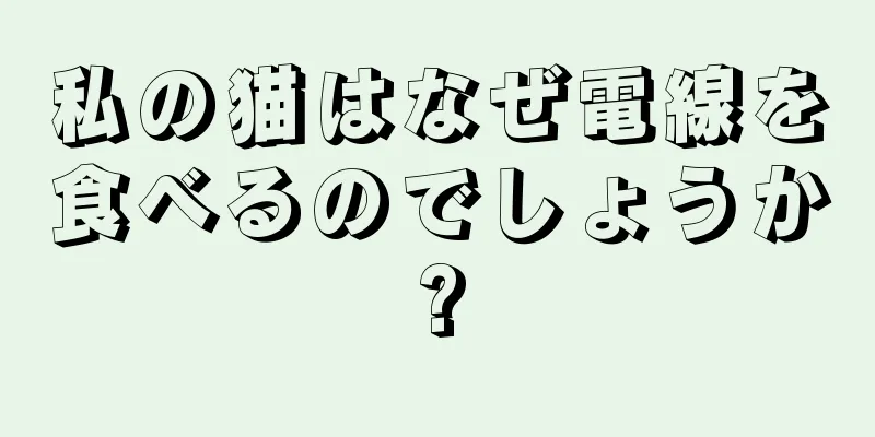 私の猫はなぜ電線を食べるのでしょうか?