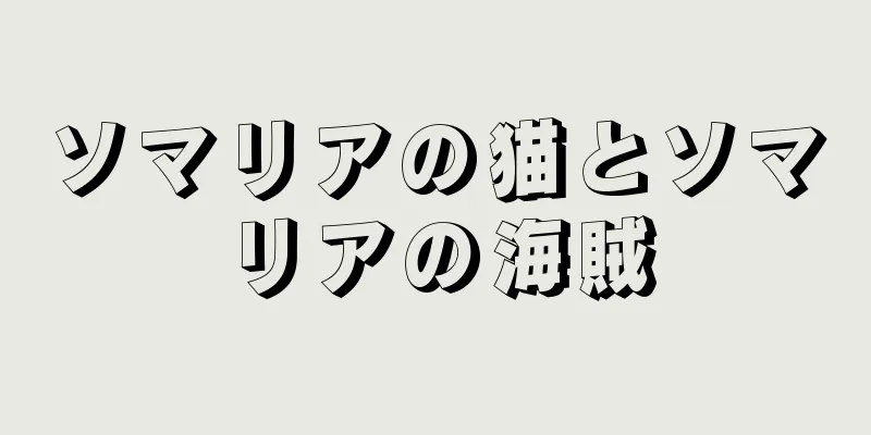 ソマリアの猫とソマリアの海賊