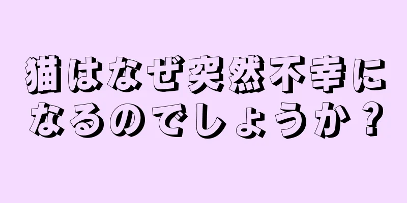 猫はなぜ突然不幸になるのでしょうか？