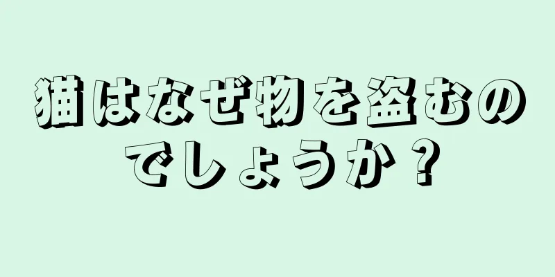 猫はなぜ物を盗むのでしょうか？