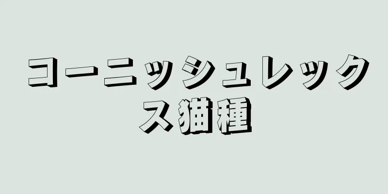 コーニッシュレックス猫種