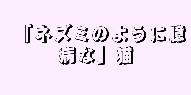 「ネズミのように臆病な」猫