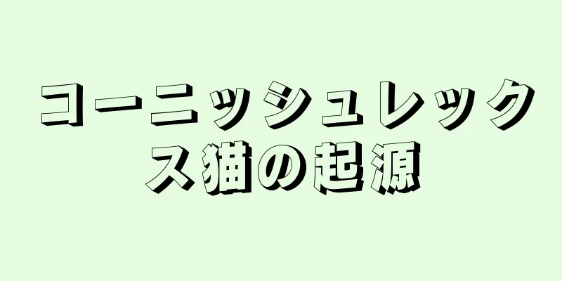 コーニッシュレックス猫の起源