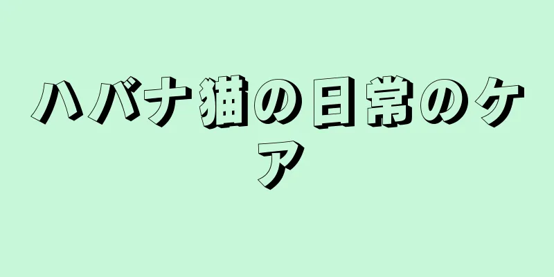 ハバナ猫の日常のケア