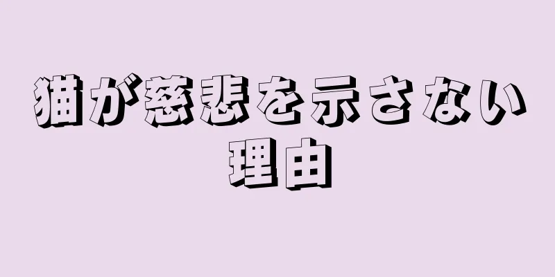 猫が慈悲を示さない理由