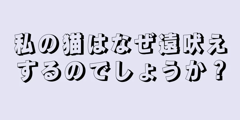 私の猫はなぜ遠吠えするのでしょうか？