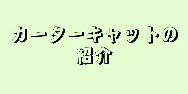 カーターキャットの紹介