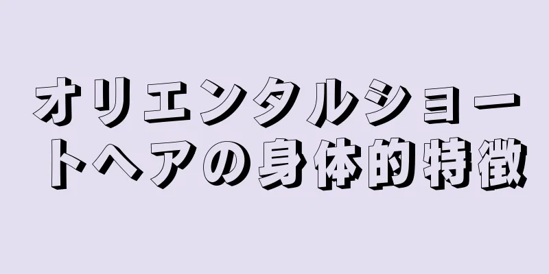 オリエンタルショートヘアの身体的特徴
