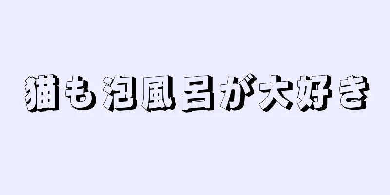 猫も泡風呂が大好き