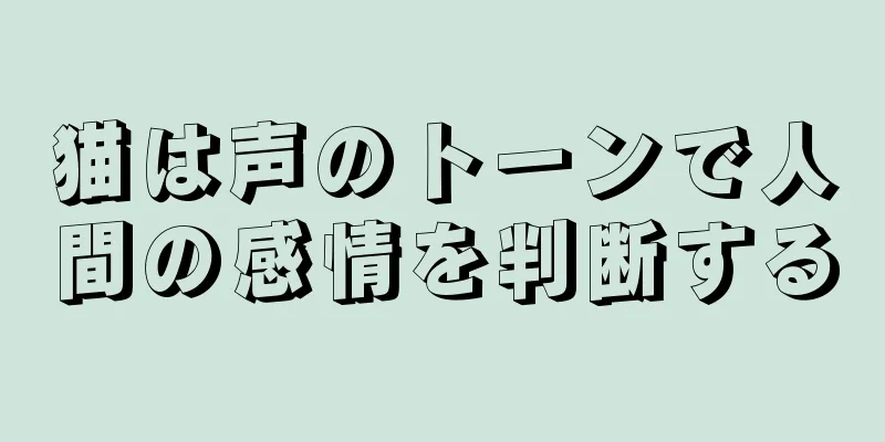 猫は声のトーンで人間の感情を判断する