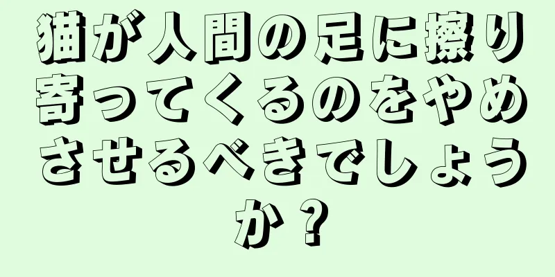 猫が人間の足に擦り寄ってくるのをやめさせるべきでしょうか？