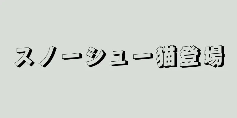スノーシュー猫登場