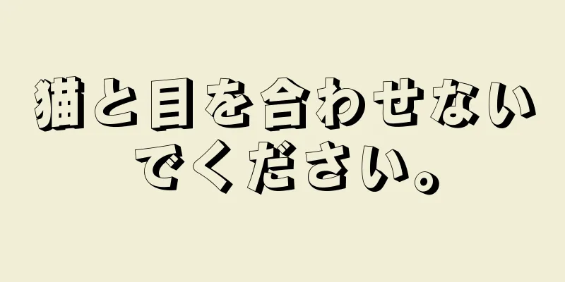 猫と目を合わせないでください。