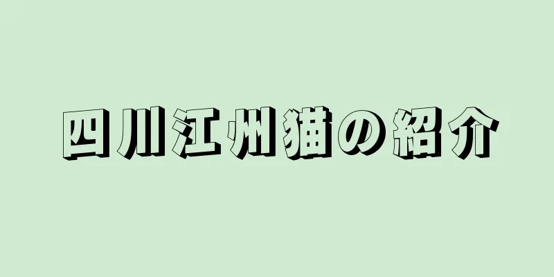 四川江州猫の紹介