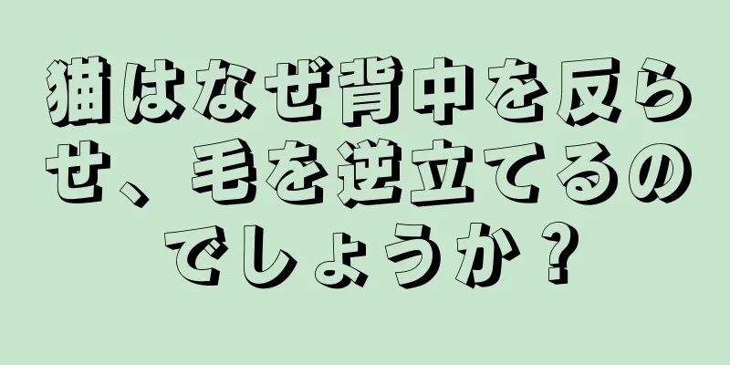 猫はなぜ背中を反らせ、毛を逆立てるのでしょうか？