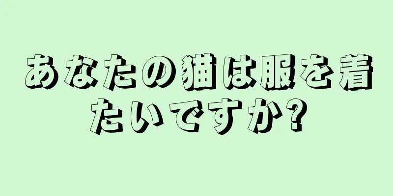 あなたの猫は服を着たいですか?