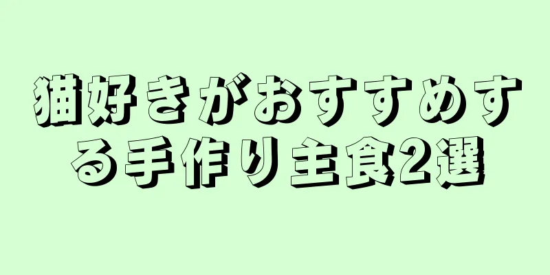 猫好きがおすすめする手作り主食2選