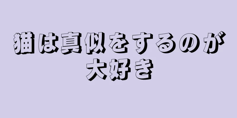 猫は真似をするのが大好き