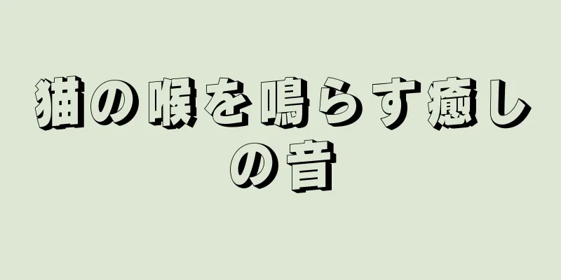 猫の喉を鳴らす癒しの音