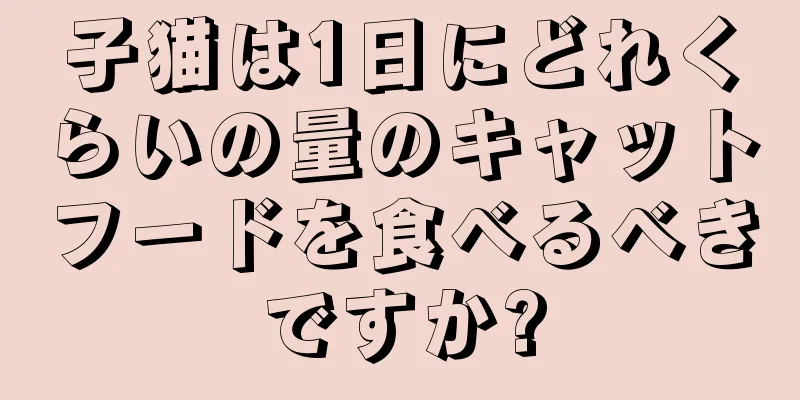 子猫は1日にどれくらいの量のキャットフードを食べるべきですか?