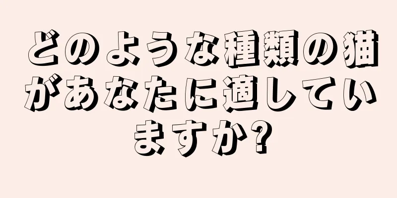 どのような種類の猫があなたに適していますか?