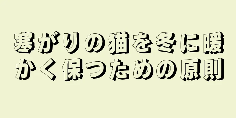 寒がりの猫を冬に暖かく保つための原則