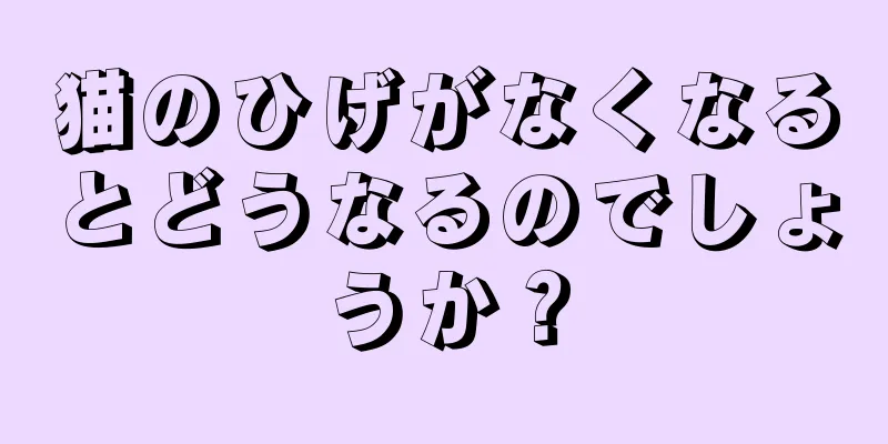 猫のひげがなくなるとどうなるのでしょうか？