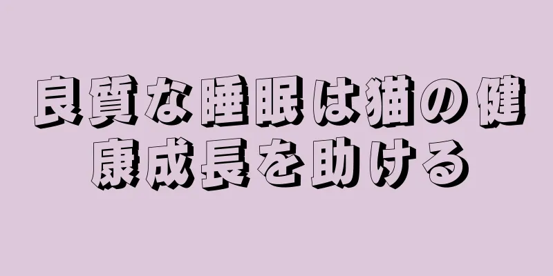 良質な睡眠は猫の健康成長を助ける