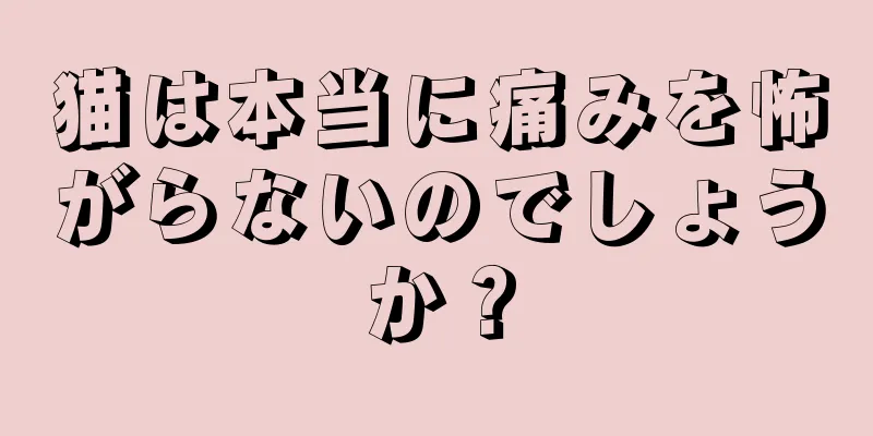 猫は本当に痛みを怖がらないのでしょうか？