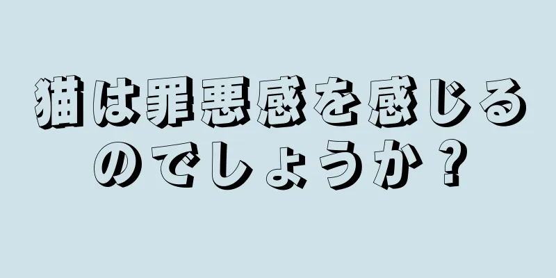 猫は罪悪感を感じるのでしょうか？