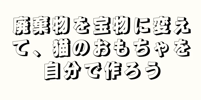 廃棄物を宝物に変えて、猫のおもちゃを自分で作ろう