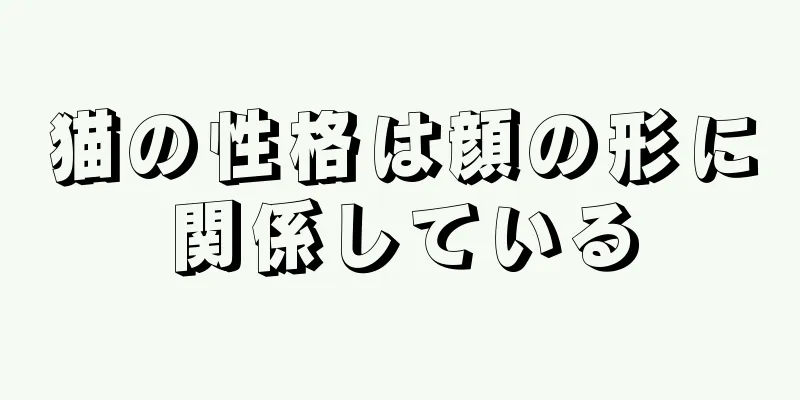 猫の性格は顔の形に関係している