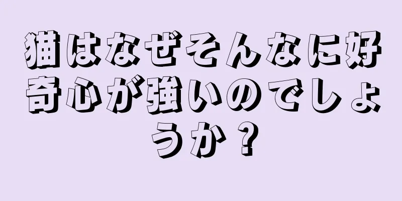 猫はなぜそんなに好奇心が強いのでしょうか？