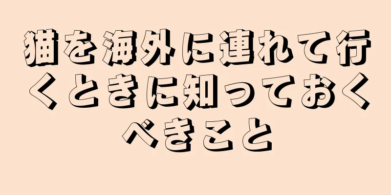 猫を海外に連れて行くときに知っておくべきこと
