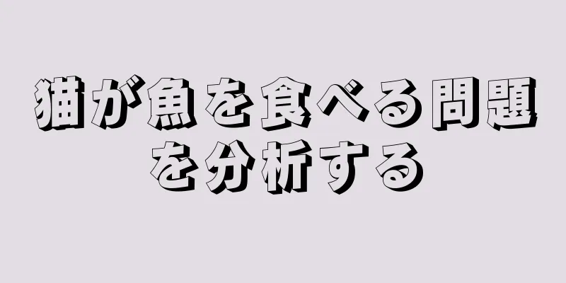猫が魚を食べる問題を分析する