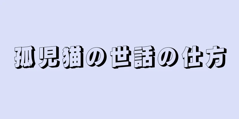 孤児猫の世話の仕方