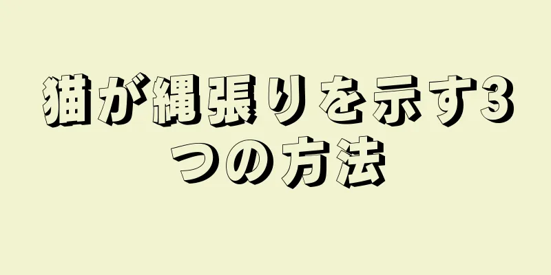 猫が縄張りを示す3つの方法