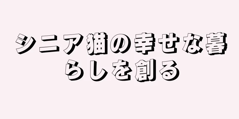 シニア猫の幸せな暮らしを創る