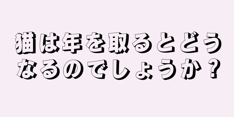 猫は年を取るとどうなるのでしょうか？