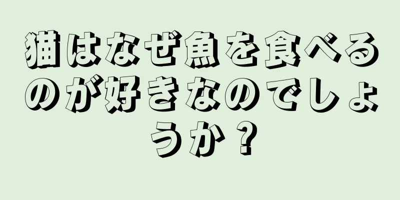 猫はなぜ魚を食べるのが好きなのでしょうか？