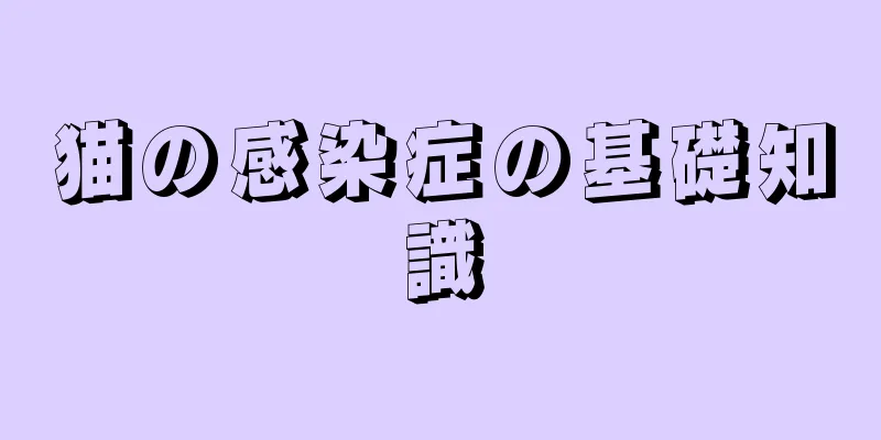 猫の感染症の基礎知識