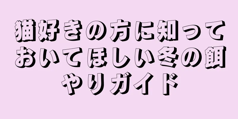 猫好きの方に知っておいてほしい冬の餌やりガイド