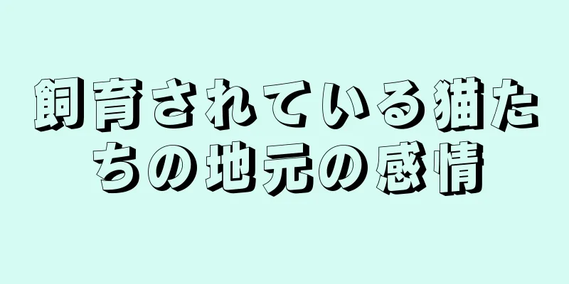 飼育されている猫たちの地元の感情